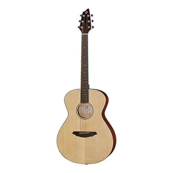 Breedlove store passport dreadnought