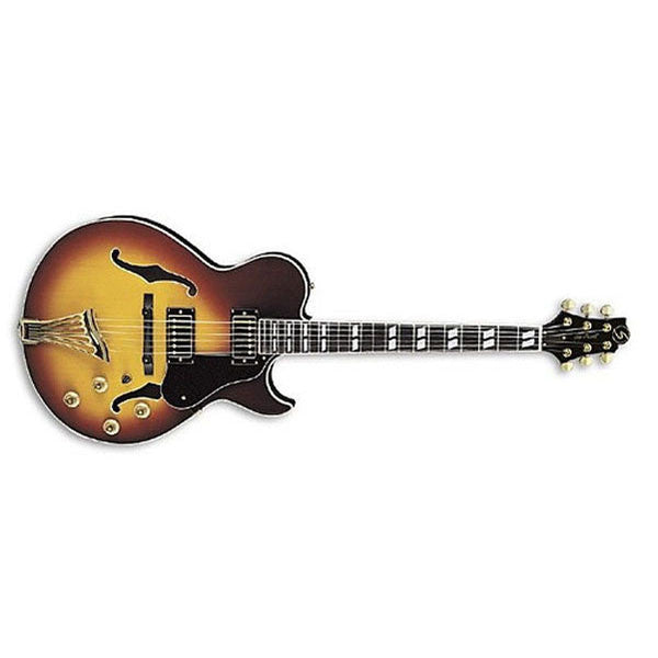 Greg bennett deals semi hollow guitar