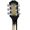 Epiphone Adam Jones Les Paul Custom Art Korin Faught’s Sensation 6 String Electric Guitar