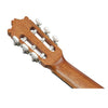 Ibanez GA3 6 String Classical Guitar