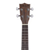 Vault UK-200S 21" Premium Walnut Laminate with Side Soundport Soprano Ukulele - Open Box