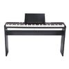 Artesia Digital Pianos Digital Piano w/ Stand Artesia PE 88 Key Deluxe Digital Piano - Black