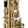 Chateau Saxophones Chateau Alto Saxophone CAS-21 CVL