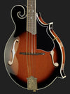 Harley Benton Mandolins Harley Benton HBMA-100 VS