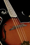 Harley Benton Mandolins Harley Benton HBMA-100 VS