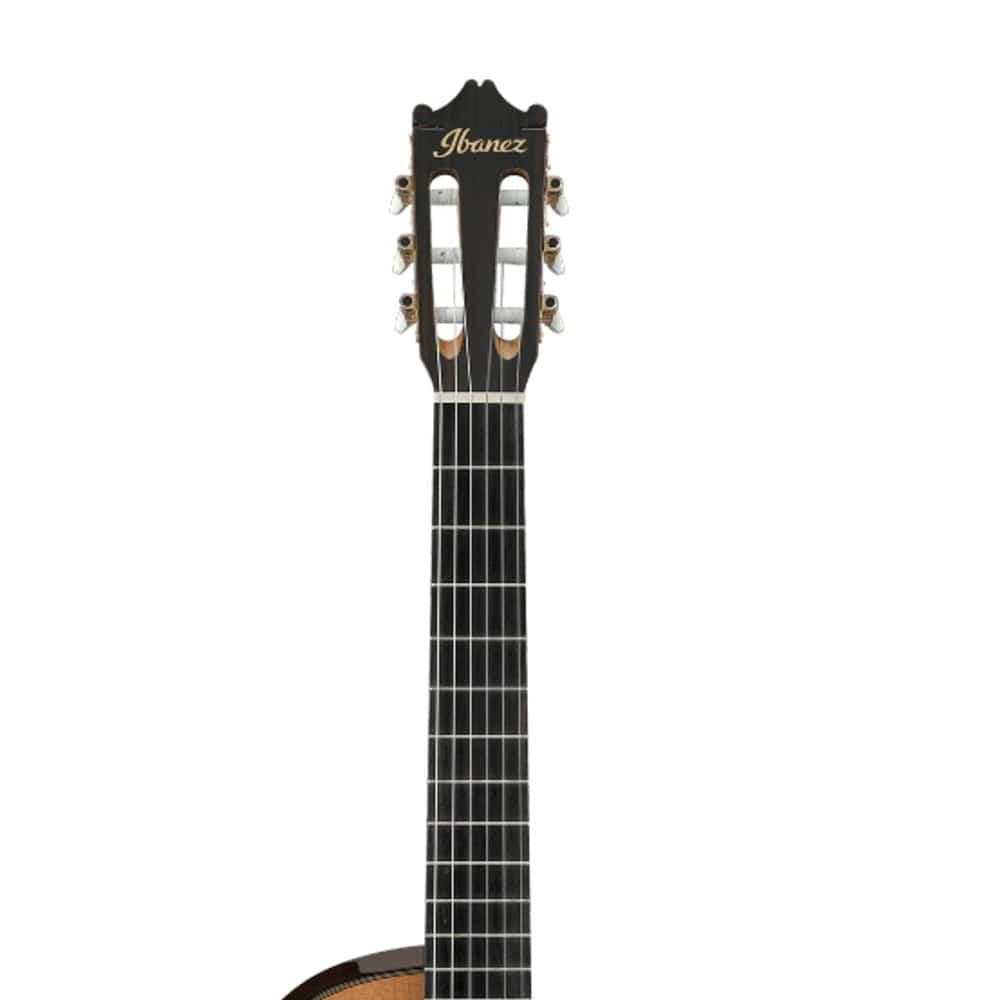 Buy Ibanez GA6CE Classical Series Electro Acoustic Classical Nylon - String  Guitar - Amber Online