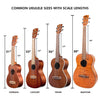 Kala Soprano Ukuleles Kala MK-SWT Makala Waterman Soprano Standard Ukulele - Translucent Blue Bundle