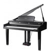 Kurzweil Digital Pianos Kurzweil CGP220 88-Key Grand Concert Digital Piano - Ebony Polish