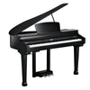 Kurzweil Digital Pianos Kurzweil KAG100 Digital Grand Piano