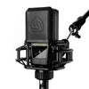 Lewitt Condenser Microphones Lewitt LCT 441 FLEX Large-Diaphragm Condenser Microphone