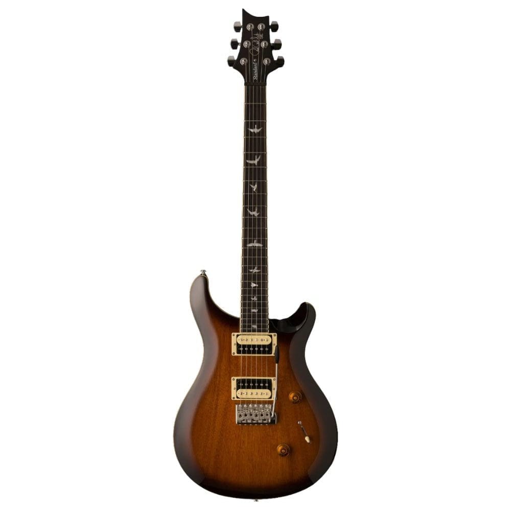 祝開店！大放出セール開催中】 PRS SE custom リール - mcgimoveisms