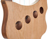 Thomann Harps Thomann Lute Harp 22 Strings