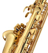 Thomann Saxophones Thomann Custom Line ASBGG