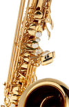 Thomann Saxophones Thomann Custom Line TSBGG