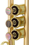 Thomann Trumpets Thomann TR-5000 GL Bb- Trumpet