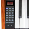 Vault Digital Pianos Vault Avanti 88 Key Digital Piano with Weighted Keys and U Type Stand