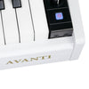 Vault Digital Pianos Vault Avanti 88 Key Digital Piano with Weighted Keys and U Type Stand