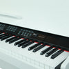 Vault Digital Pianos Vault Caesar MK2 88 Key Digital Piano