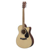 Yamaha Acoustic Guitars Yamaha FS100C Acoustic Guitar